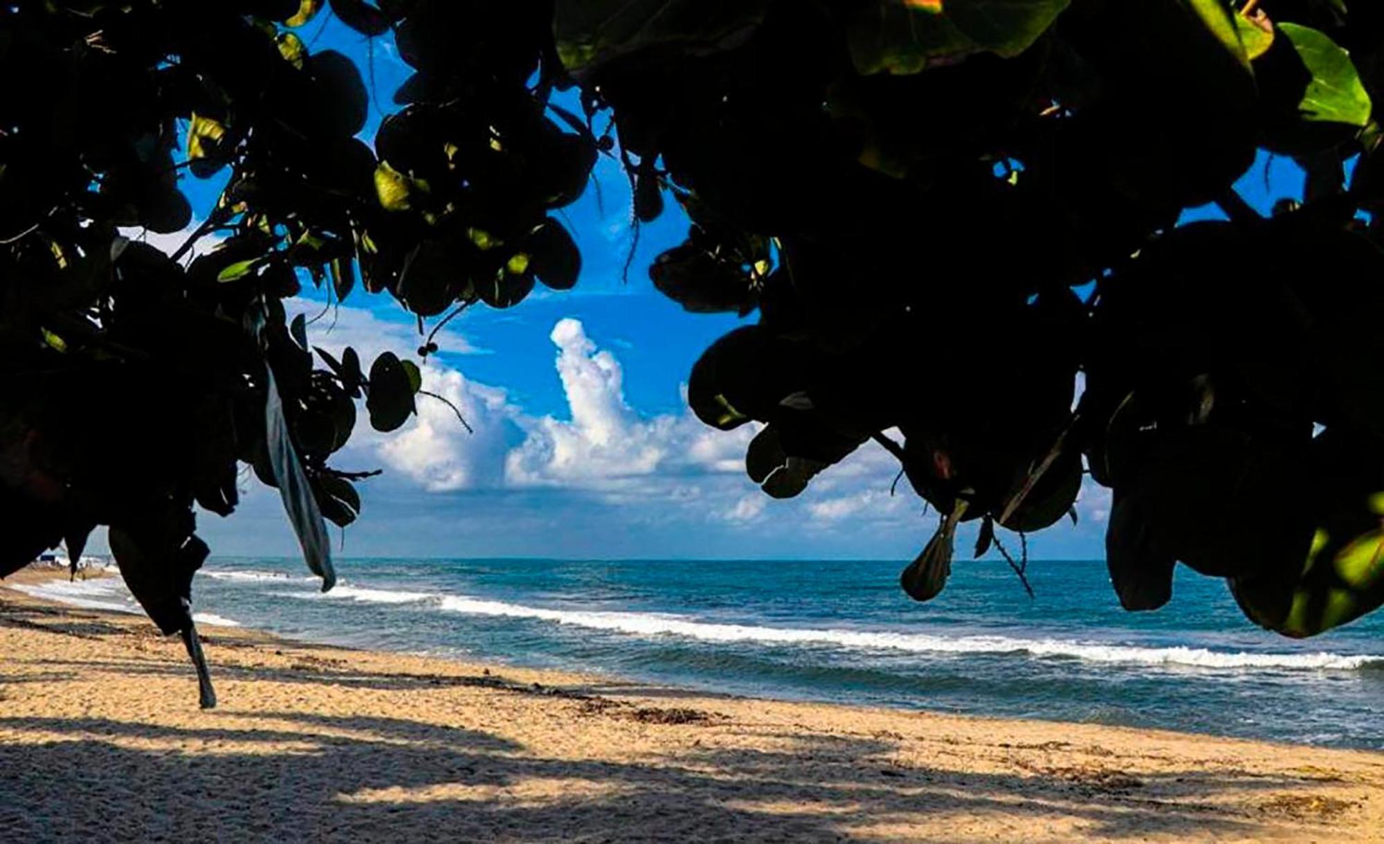 Hostal Mirador Dentro Del Parque Tayrona El Zaino Ngoại thất bức ảnh