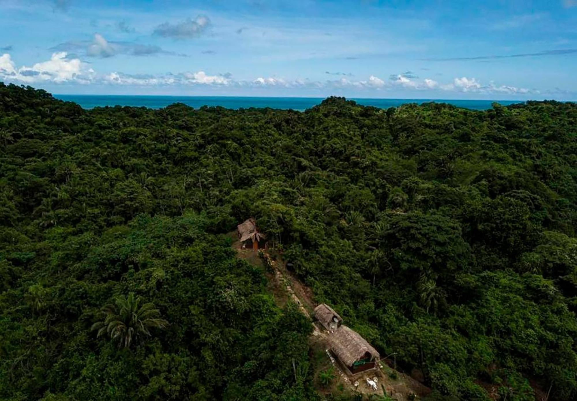 Hostal Mirador Dentro Del Parque Tayrona El Zaino Ngoại thất bức ảnh