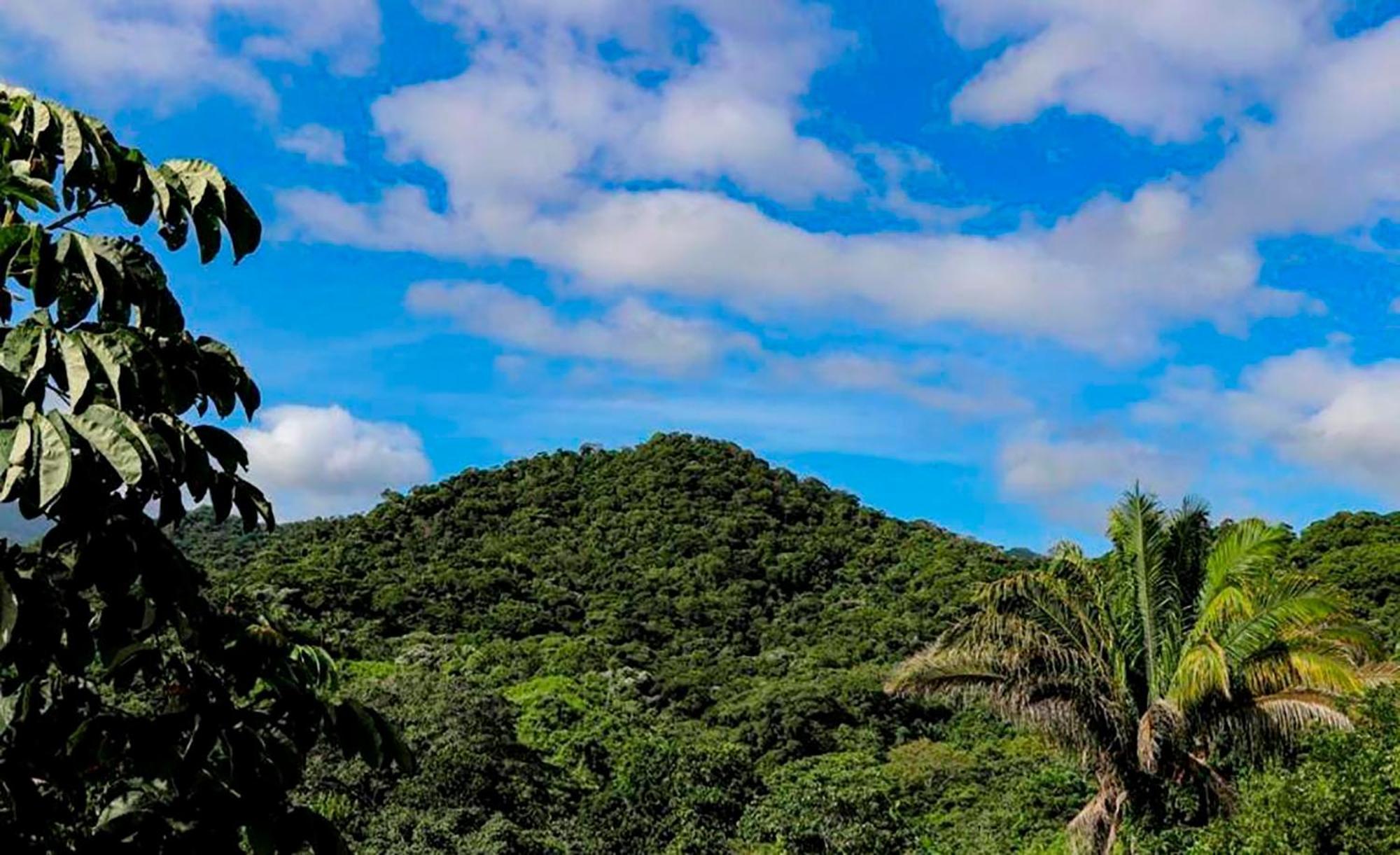 Hostal Mirador Dentro Del Parque Tayrona El Zaino Ngoại thất bức ảnh