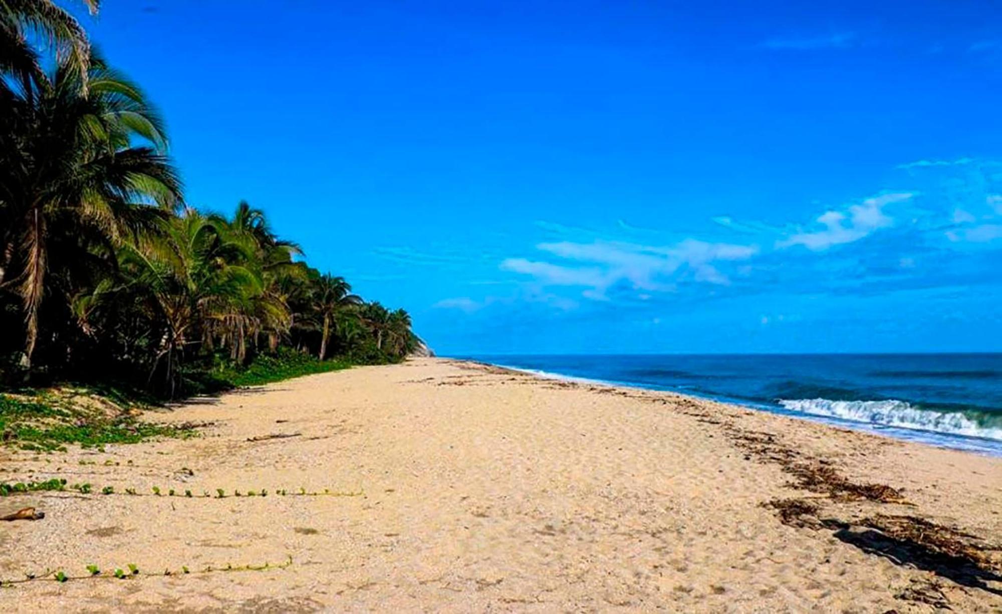 Hostal Mirador Dentro Del Parque Tayrona El Zaino Ngoại thất bức ảnh