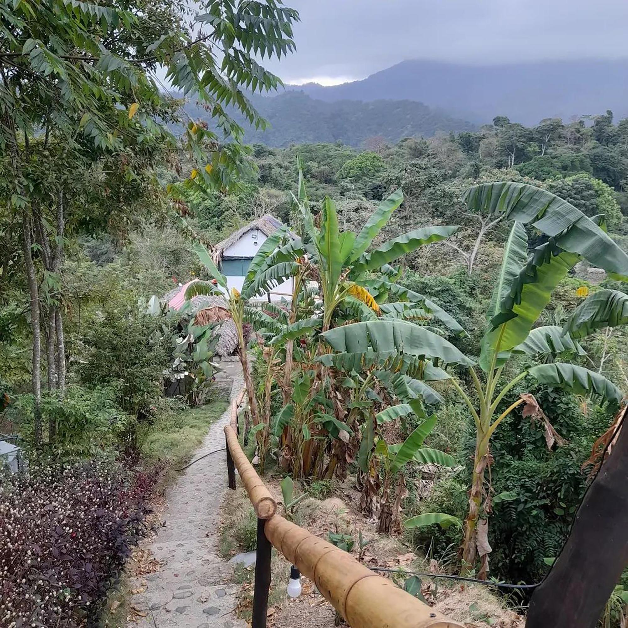 Hostal Mirador Dentro Del Parque Tayrona El Zaino Ngoại thất bức ảnh