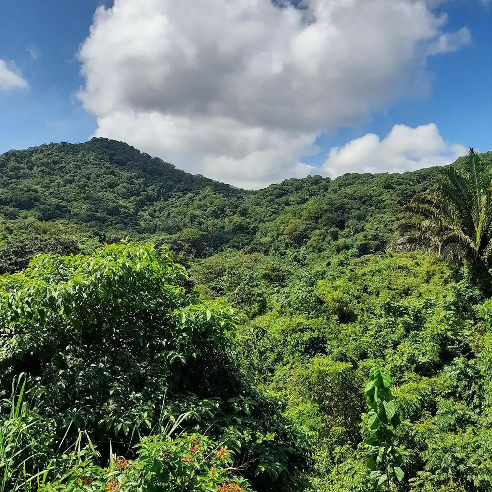 Hostal Mirador Dentro Del Parque Tayrona El Zaino Ngoại thất bức ảnh