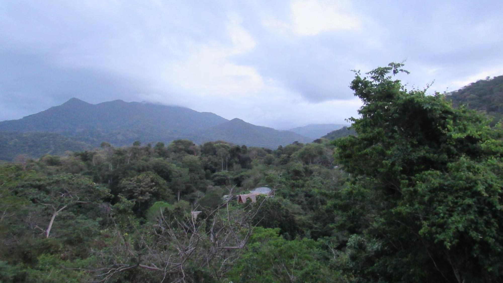 Hostal Mirador Dentro Del Parque Tayrona El Zaino Ngoại thất bức ảnh